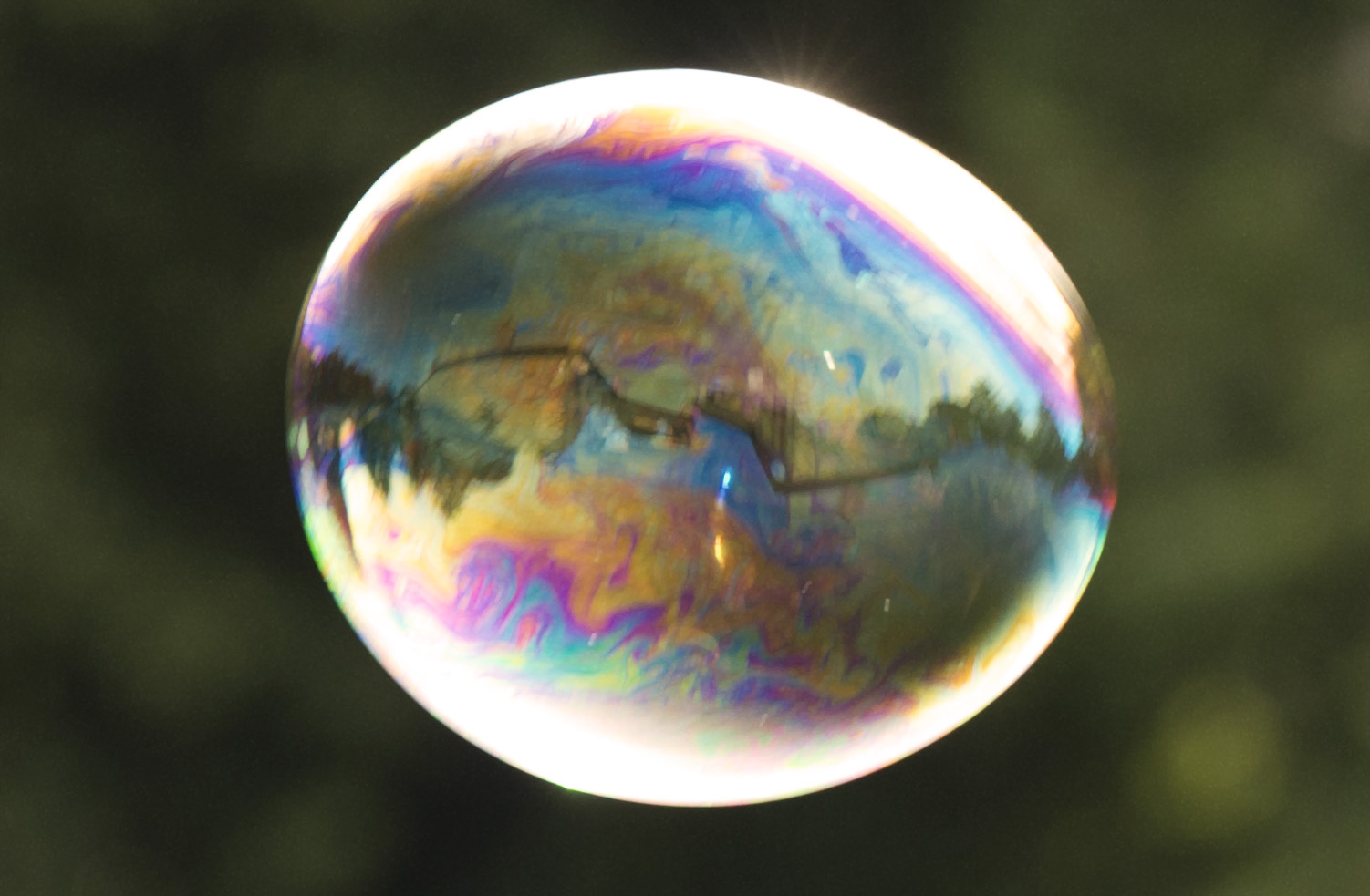 Bubble Pov